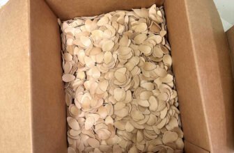 The Studio Punch Checklist – Addicted 2 Ador...